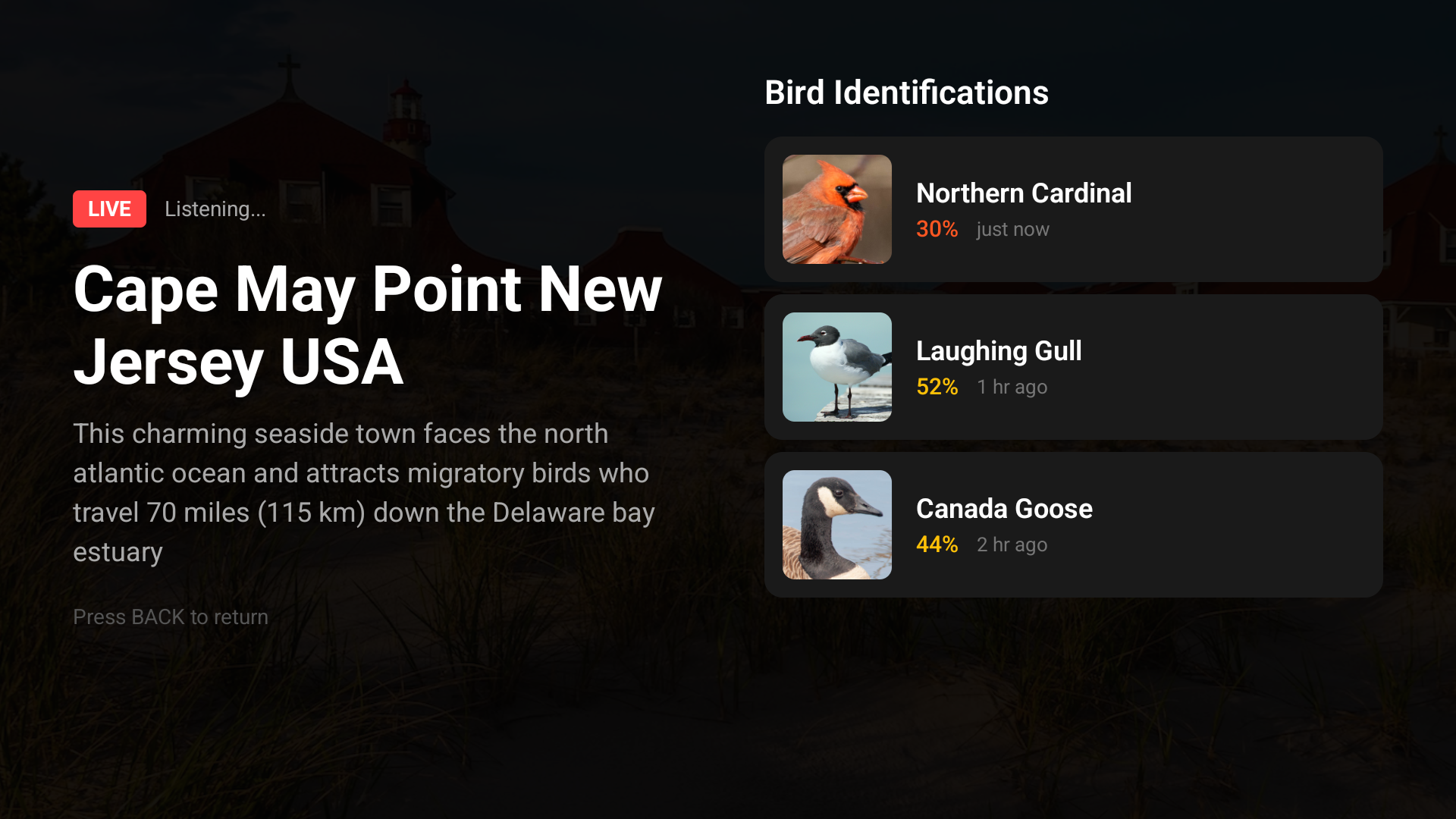 Terra Listens on Android TV - Live stream with bird identifications